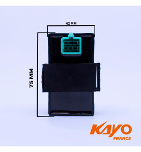 02// CDI KAYO 