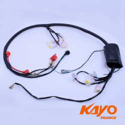 T / Faisceau et composants électriques, optiques  01/ FAISCEAU ELEC KAYO A150