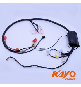 01// FAISCEAU ELEC KAYO A150