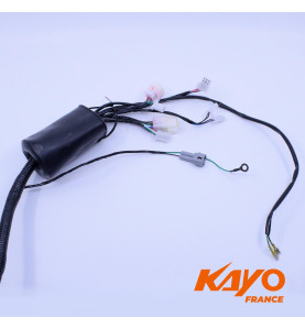 01// FAISCEAU ELEC KAYO A150
