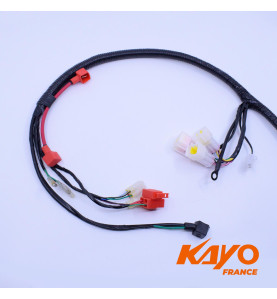 01// FAISCEAU ELEC KAYO A150