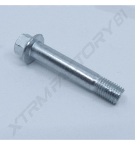 08// BOULON M10X55MM