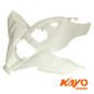 01// CARENAGE AV KAYO PREDATOR 110