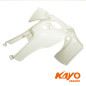 01// CARENAGE AV KAYO PREDATOR 110