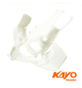01// CARENAGE AV KAYO PREDATOR 110