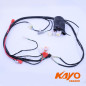 01// FAISCEAU ELEC QUAD KAYO AY70