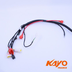 01// FAISCEAU ELEC QUAD KAYO AY70
