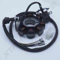 STATOR DIRT BSE 250CC 2017
