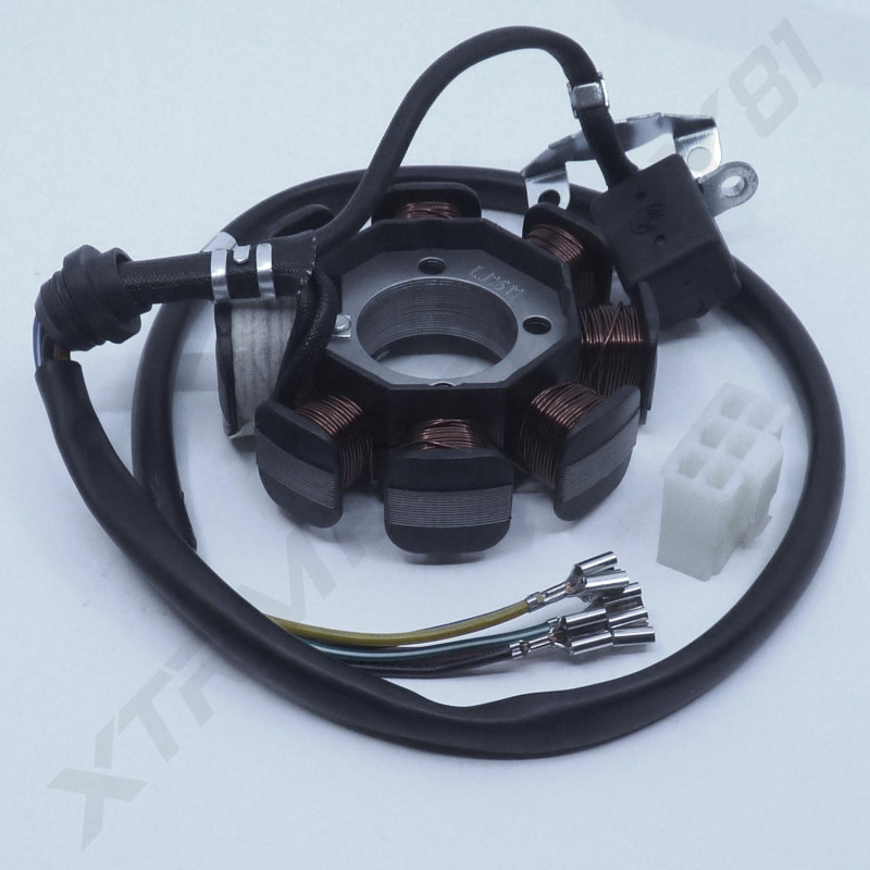 STATOR DIRT BSE 250CC 2017