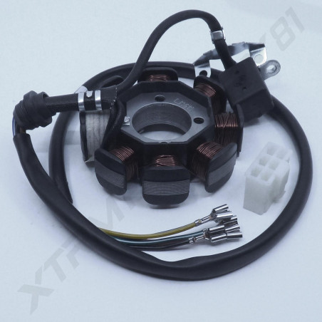 STATOR DIRT BSE 250CC 2017
