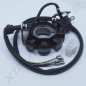 STATOR DIRT BSE 250CC 2017