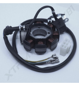 STATOR DIRT BSE 250CC 2017