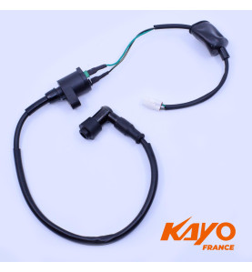 06//  BOBINE HT 2 FILS + ANTI P QUAD KAYO