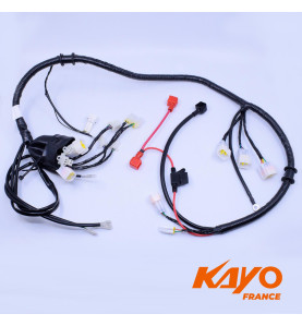 01// FAISCEAU ELECTRIQUE KAYO AU150