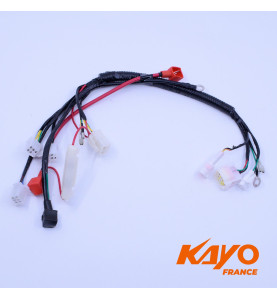 FAISCEAU ELECTRIQUE KMB60