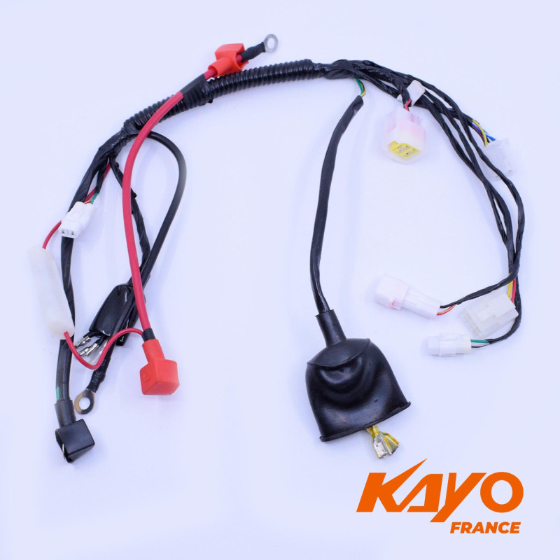 01// FAISCEAU ELEC KAYO TS90