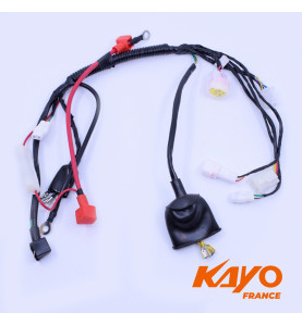 01// FAISCEAU ELEC KAYO TS90