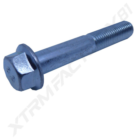 BOULON M10X60 MM