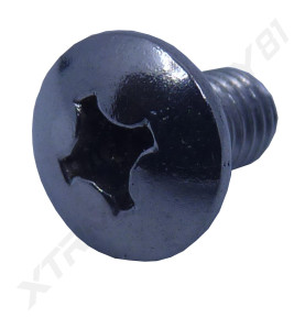 BOULON TETE POZIDRIV M6X10 MM