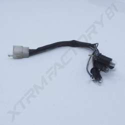 FAISCEAU ALIMENTATION COMPTEUR SCOOTER 50CC TAOTAO