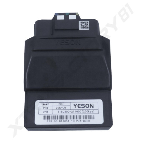 ECU 125 KIDEN