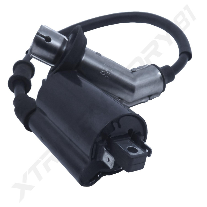 BOBINE HT+ANTI PARASITE KIDEN 125 CC