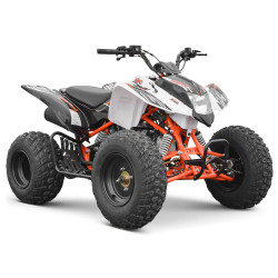 Quad Adulte Homologué Route 2 personnes - EuroImportMoto Dirt bike