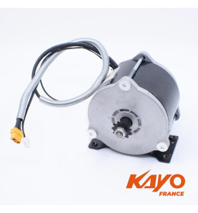 01// MOTEUR 36V 500W KAYO EA50