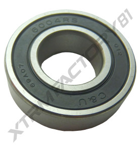 13// ROULEMENT 6004 RS 20X42X12