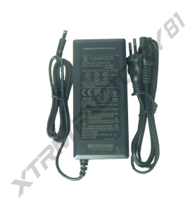 31// CHARGEUR 36V DRAISIENNE 2024 DX16/DX18