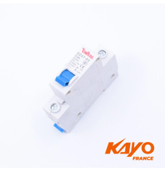 10// DISJONCTEUR DZ47-63 KAYO EA70