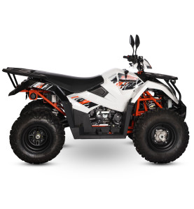 Quad 200cc homologué pas cher ! Robuste et pratique - EuroImportMoto