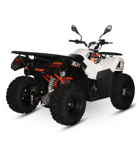 Quad 200cc homologué pas cher ! Robuste et pratique - EuroImportMoto