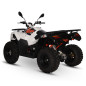Quad 300cc agricole KAYO AU300 Quad 300cc agricole KAYO AU300