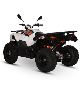 Quad 200cc homologué pas cher ! Robuste et pratique - EuroImportMoto