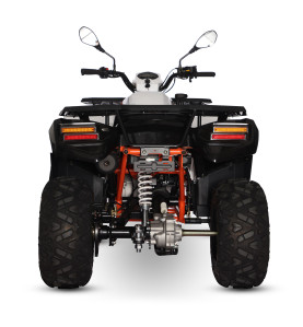 Quad 200cc homologué pas cher ! Robuste et pratique - EuroImportMoto