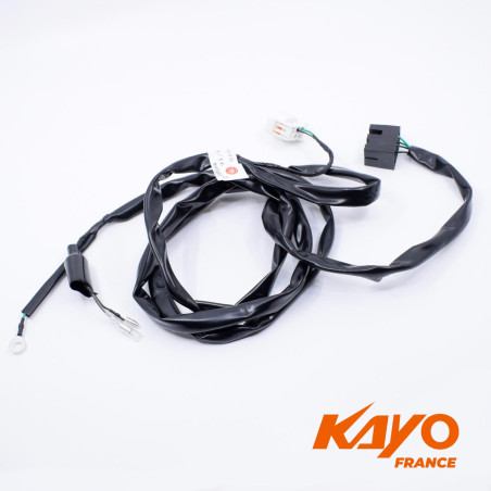 01// FAISCEAU KAYO S70