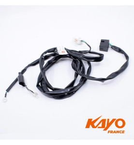 01// FAISCEAU KAYO S70