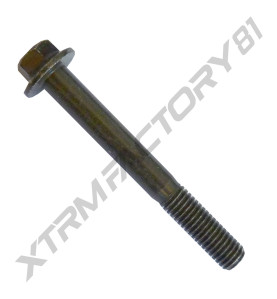 04// BOULON M8X65MM