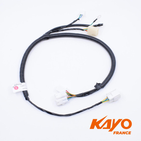 01// FAISCEAU ELECTRIQUE KAYO GP MR150 