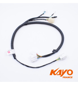 01// FAISCEAU ELECTRIQUE KAYO GP MR150 