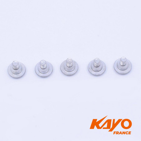 00// KIT VIS PROTECTION FOURCHE