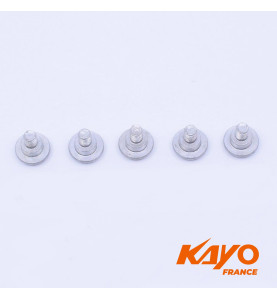 00// KIT VIS PROTECTION FOURCHE