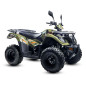 Quad 300cc agricole KAYO AU300