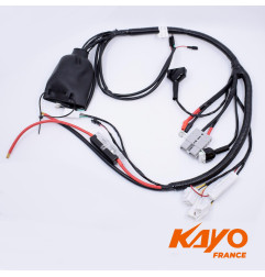 01// FAISCEAU ELEC QUAD KAYO EA 110 