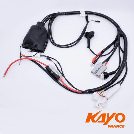 01// FAISCEAU ELEC QUAD KAYO EA 110 