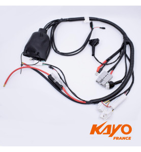 01// FAISCEAU ELEC QUAD KAYO EA 110 
