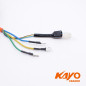 motor// : MOTEUR 48V 1000W KAYO EA110