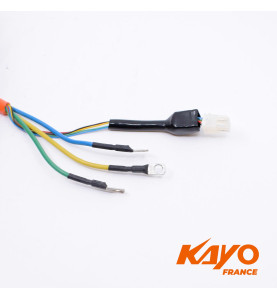 motor// : MOTEUR 48V 1000W KAYO EA110