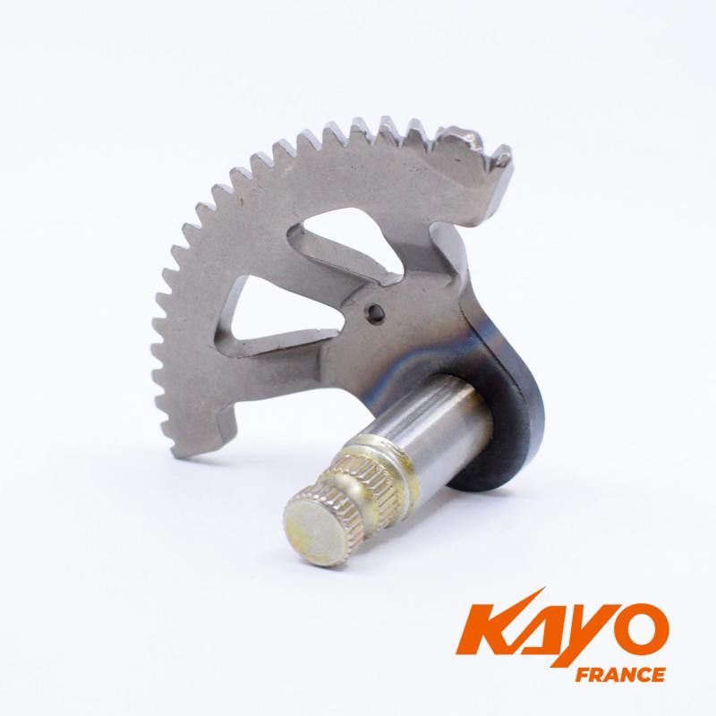 69// Axe kick M50 9ch / KAYO KT50 - vue 3